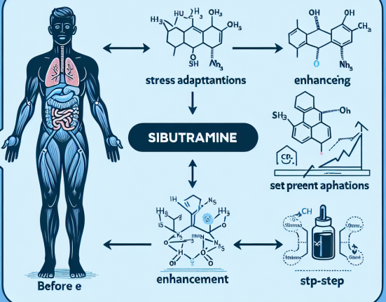 Cómo potenciar las adaptaciones al estrés con Sibutramine